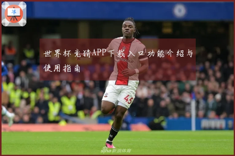 世界杯竞猜APP下载入口功能介绍与使用指南