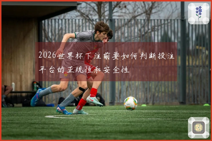 2026世界杯下注前要如何判断投注平台的正规性和安全性