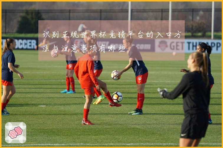 识别正规世界杯竞猜平台的入口方法与注意事项有哪些