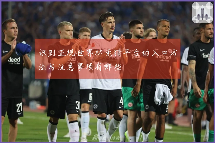 识别正规世界杯竞猜平台的入口方法与注意事项有哪些