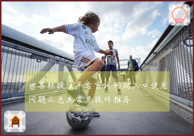 世界杯投注平台官方网站入口使用问题汇总及常见技巧推荐