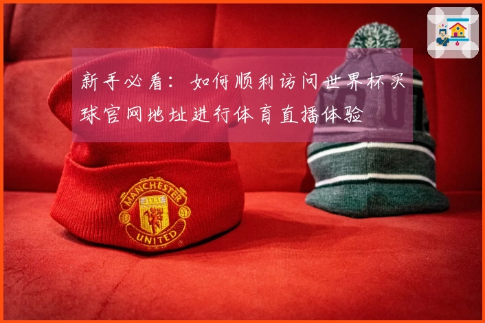 新手必看：如何顺利访问世界杯买球官网地址进行体育直播体验