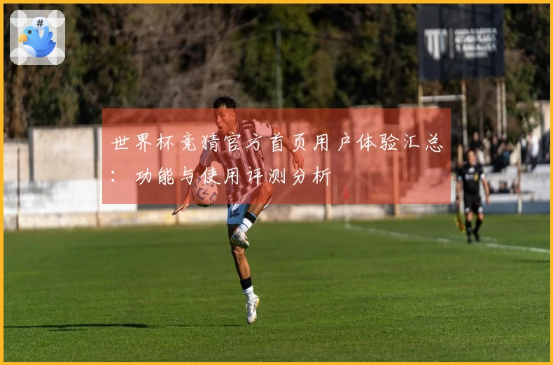 世界杯竞猜官方首页用户体验汇总：功能与使用评测分析