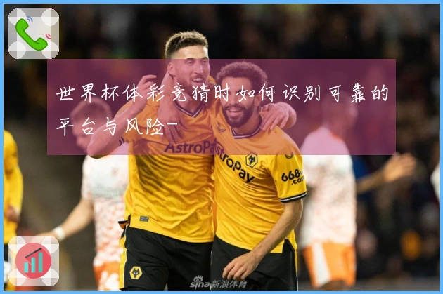 世界杯体彩竞猜时如何识别可靠的平台与风险-