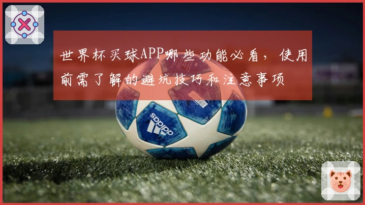 世界杯买球APP哪些功能必看，使用前需了解的避坑技巧和注意事项