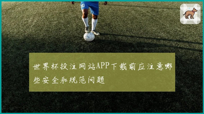 世界杯投注网站APP下载前应注意哪些安全和规范问题