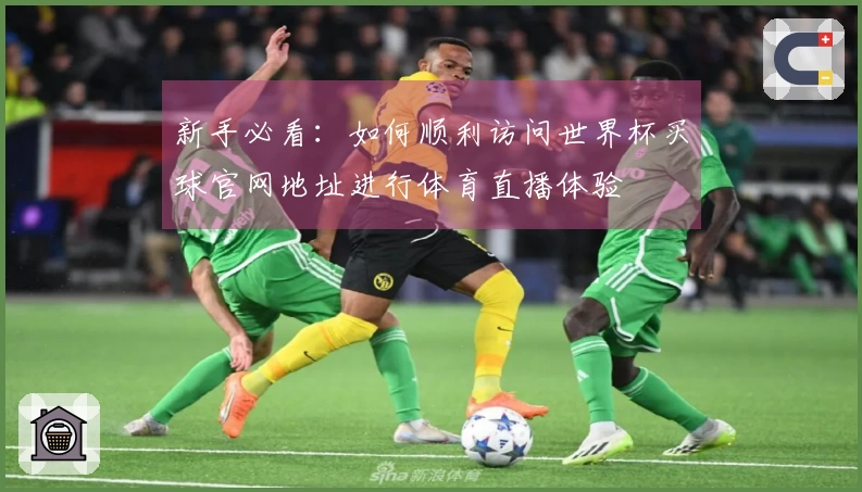 新手必看：如何顺利访问世界杯买球官网地址进行体育直播体验