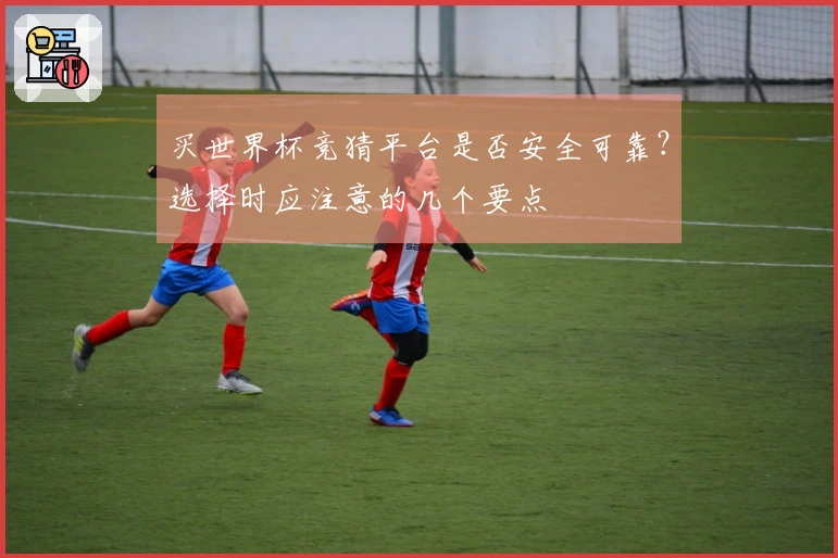 买世界杯竞猜平台是否安全可靠？选择时应注意的几个要点