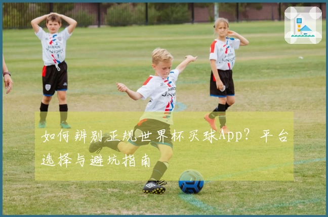 如何辨别正规世界杯买球App？平台选择与避坑指南