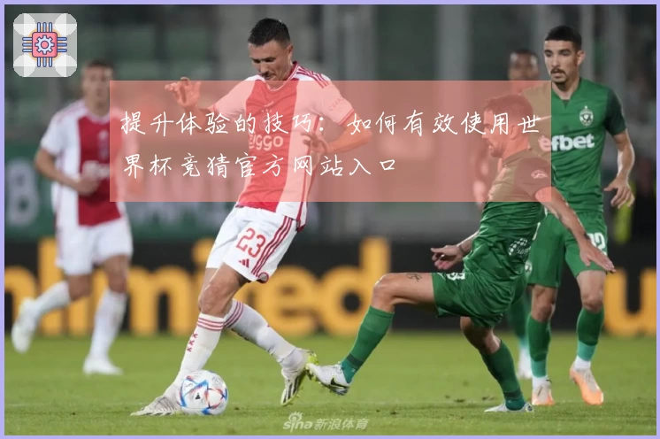 提升体验的技巧：如何有效使用世界杯竞猜官方网站入口