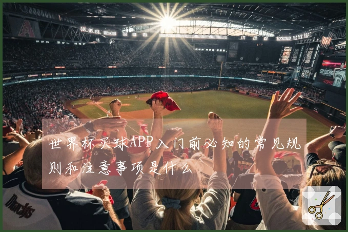 世界杯买球APP入门前必知的常见规则和注意事项是什么