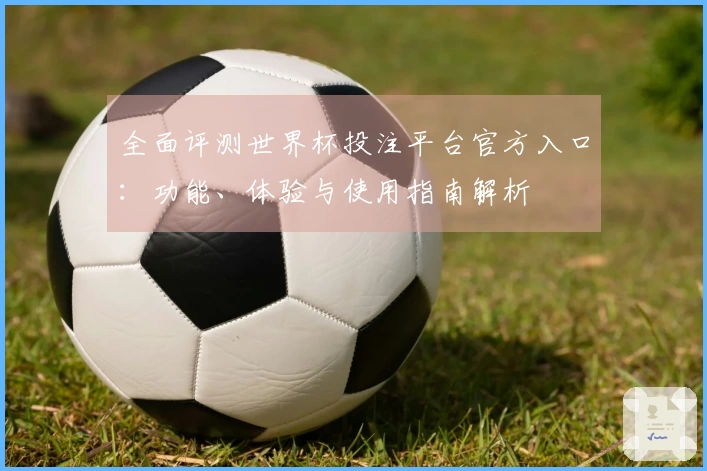 全面评测世界杯投注平台官方入口：功能、体验与使用指南解析