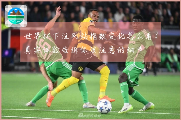 世界杯下注网站指数变化怎么看？真实体验告诉你该注意的细节