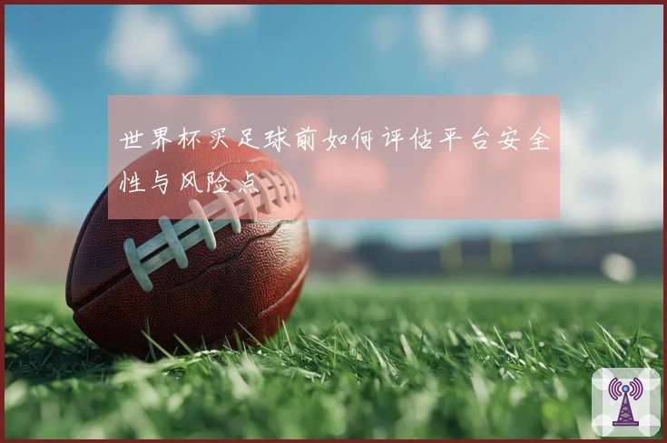 世界杯买足球前如何评估平台安全性与风险点