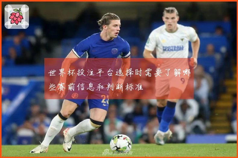 世界杯投注平台选择时需要了解哪些赛前信息和判断标准