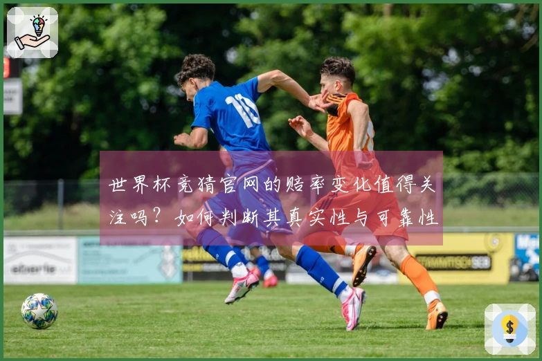 世界杯竞猜官网的赔率变化值得关注吗？如何判断其真实性与可靠性