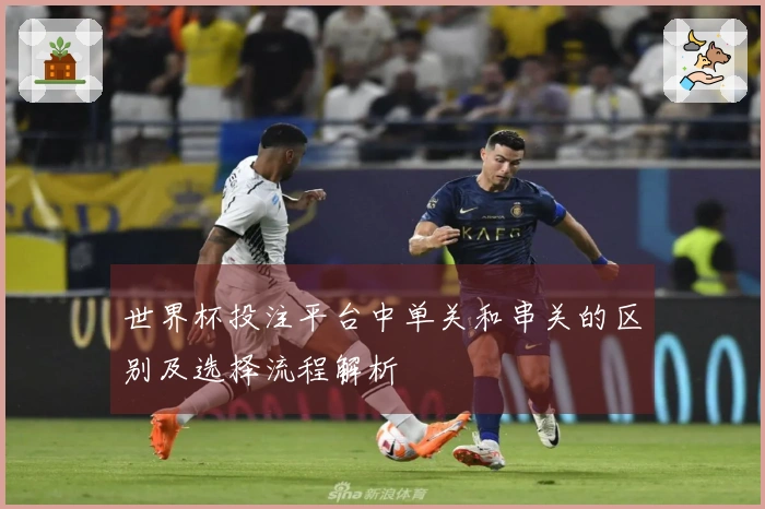 世界杯投注平台中单关和串关的区别及选择流程解析