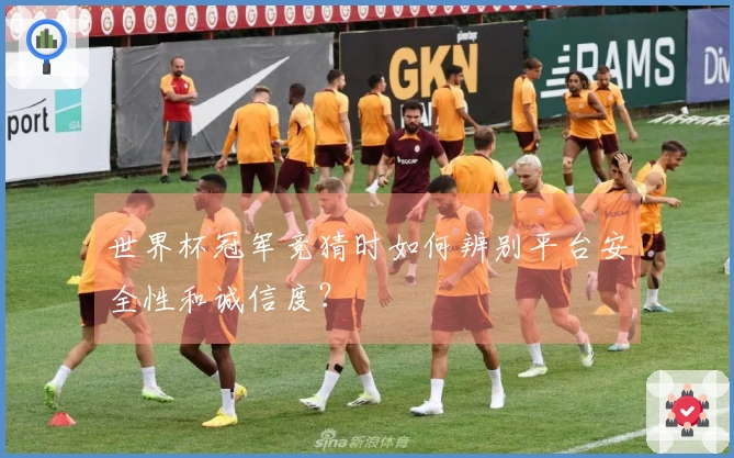世界杯冠军竞猜时如何辨别平台安全性和诚信度？