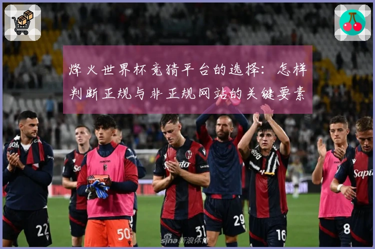 烽火世界杯竞猜平台的选择：怎样判断正规与非正规网站的关键要素