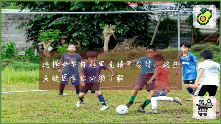 选择世界杯冠军竞猜平台时，这些关键因素你必须了解